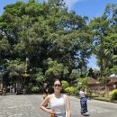 美  cafe | 2. 발리 여행 2일차 - 프라이빗 택시 투어