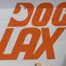 도그렉스 이미지