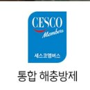 용인대학사태권도장 이미지