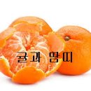 약초와 건강 이미지
