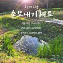 이종준농장 네이버블로그