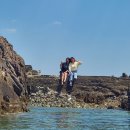 정가네 민박 | 경주 감포 민박: 소금민박