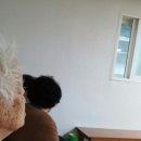 다락골 경로당 이미지