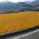 남해-309 이미지