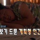 타운스빌 이미지