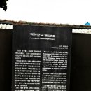 도봉-쌍문-도봉-1161 | 역사와 문화가 살아 있는 방학동 870년 된 은행나무 이야기