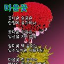 행복한날 이미지
