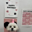 알럽댕큐 이미지