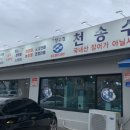 천송셀프 이미지