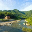 숲과 개울 펜션 이미지