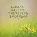 홀리씨즈교회 이미지