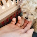 신통방통 동물병원 이미지