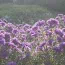 마산동쉼터 이미지