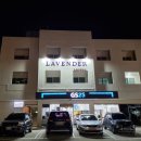 모텔라벤더 이미지