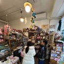 봄을 그리며 | 춘천 당일치기 아이와 갈만한곳, 공유서점 첫서재 다녀온 후기