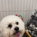 다이아나미용실 이미지