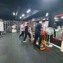 그레이트 복싱짐 이미지