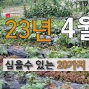4월에심는작물 키우기 전 비료 거름 농약으로 텃밭가꾸기 이미지