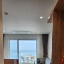 맹그로브 고성 네이버블로그