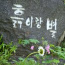 별이머무는곳 이미지