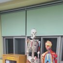 서울원광초등학교 이미지