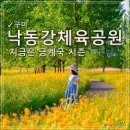 낙동강체육공원 관리사무소 이미지