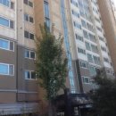 고덕면010 이미지