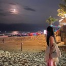 Beach Beer(비치비어) 이미지