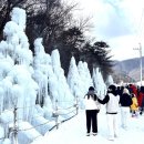 알프스마을영농조합법인 이미지