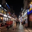 악쓰는하마 명품노래연습장 이미지