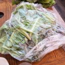 남도찌개 이미지