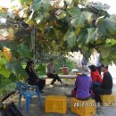 명인농장 이미지