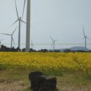 제주더썸플러스 풀빌라수산 이미지