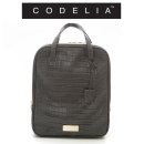 코델리아 이미지