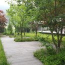 (주)삼성골프클럽 이미지