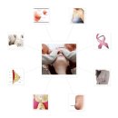 이시경유의원 이미지