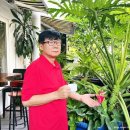 오페라호텔 이미지