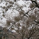 한수제 일원 이미지