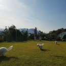 구암동428 이미지