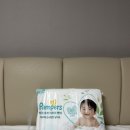 네이처픽 | 팸퍼스 2026 터치 오브 네이처 팬티 8개월 4단계 후기