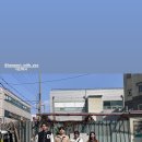 미주