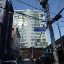 파래스 이미지