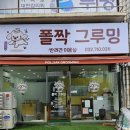 폴짝그루밍 이미지
