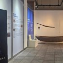 비봉리 패총전시관 이미지