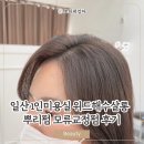 일산가로수길미용실 위드해수살롱 뿌리펌 전후 모류교정펌 후기