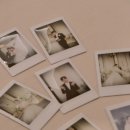 아무르 | [W-06] 아이폰스냅 '아무르블랑' 본식 후기 🖤