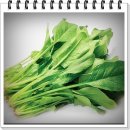 강남헬스 이미지