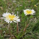 구덕초등학교 이미지