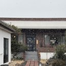 [서귀포] 나도 이렇게 살고 싶다! 하얀 개 ‘순애’가 있는 평화로운 감성 카페 ‘솔옆수’ 방문 후기