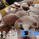 고지내농장 이미지